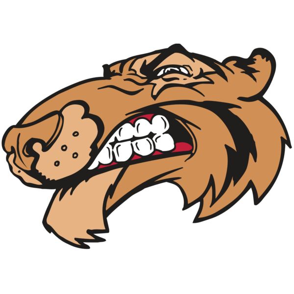 AR5 Tiger 13 RQC Thumbnail